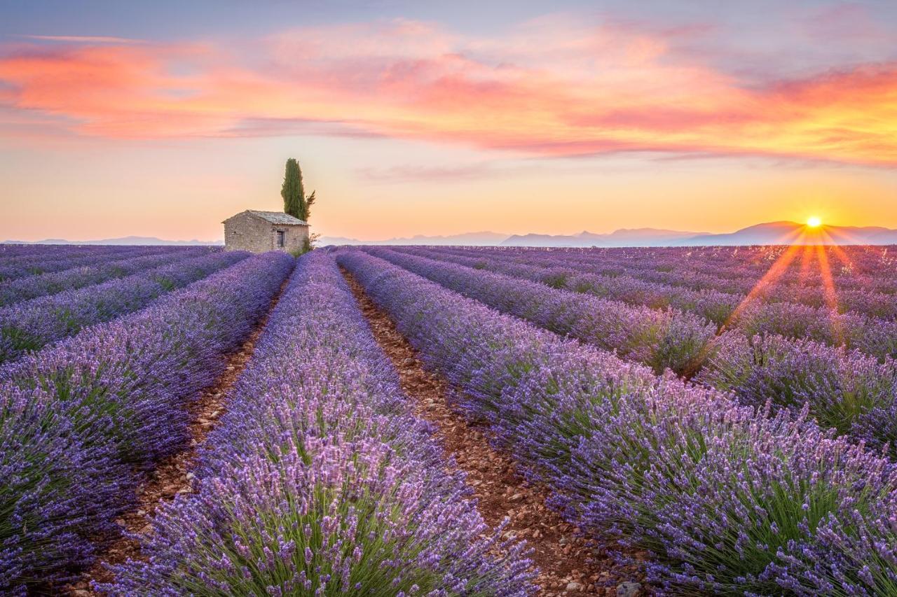 Provence Now Apartamento Cabrières-dʼAvignon Exterior foto