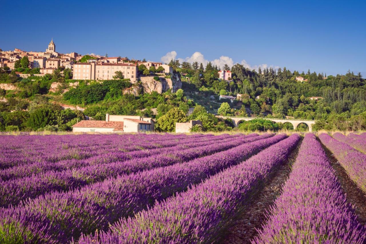 Provence Now Apartamento Cabrières-dʼAvignon Exterior foto