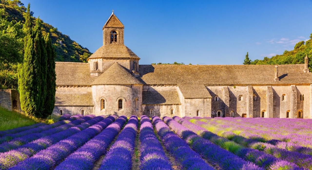 Provence Now Apartamento Cabrières-dʼAvignon Exterior foto