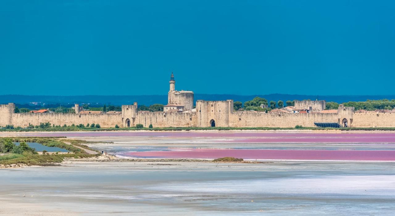 Provence Now Apartamento Cabrières-dʼAvignon Exterior foto